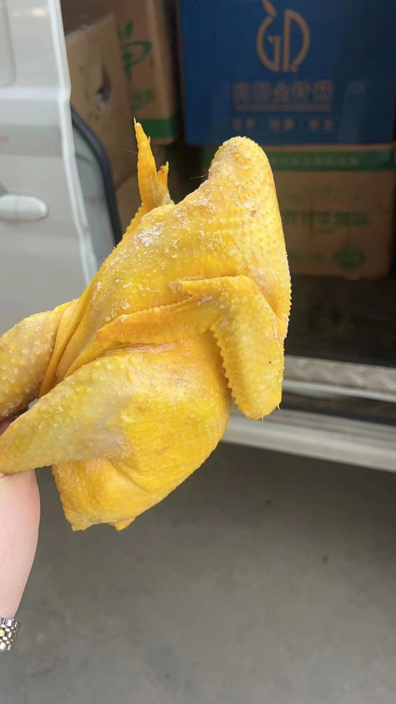 盐焗鸡（肉类品源头工厂一手货源量大从优）
