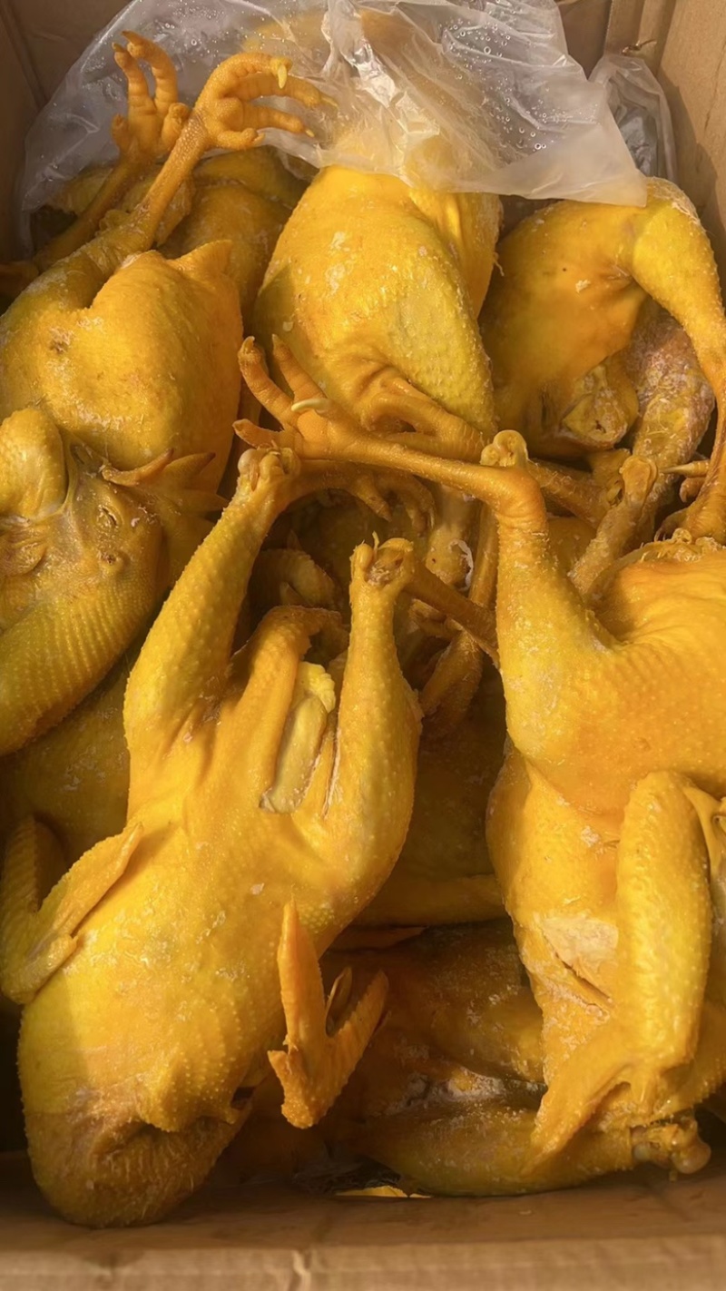 盐焗鸡（肉类品源头工厂一手货源量大从优）