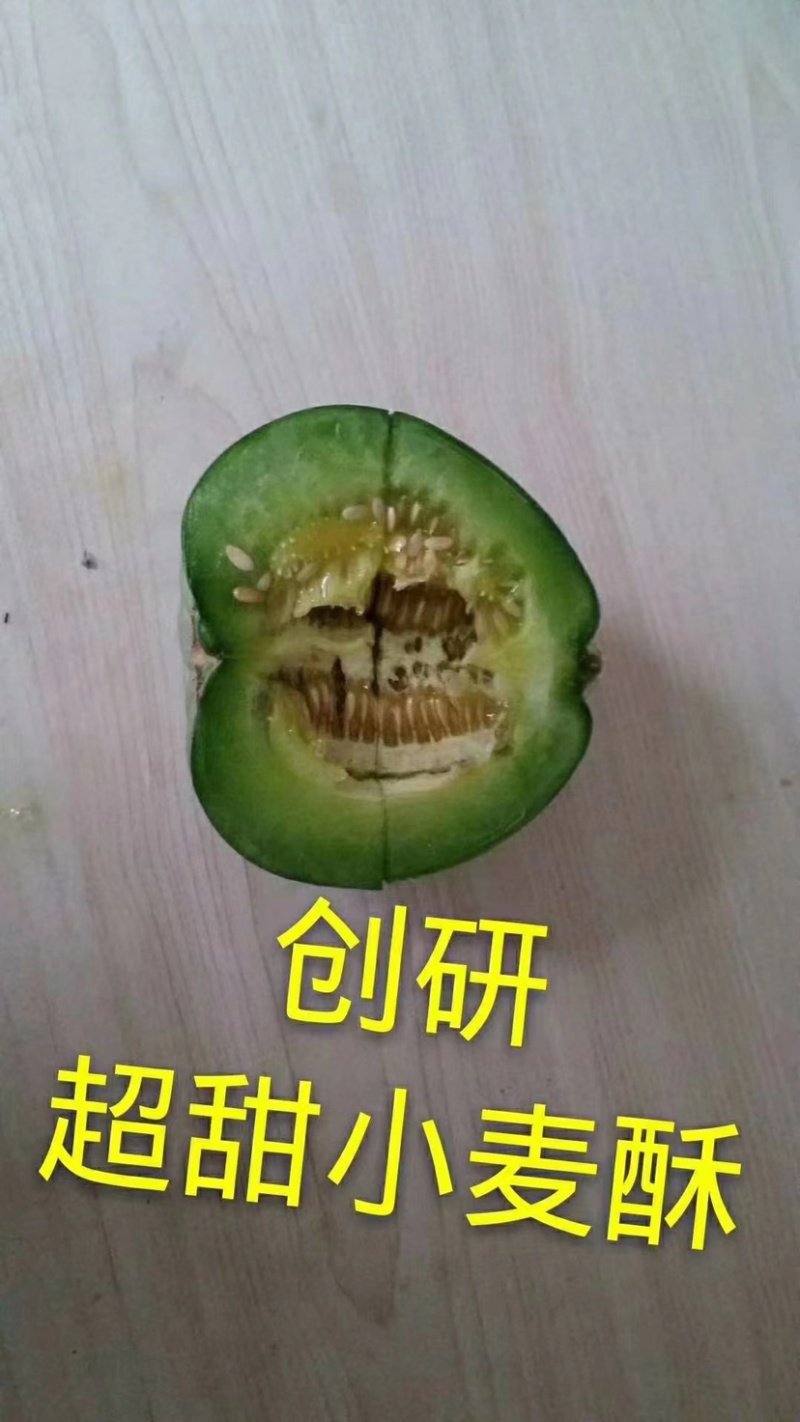 耐重茬甜瓜种子浪潮精品绿花皮甜瓜种籽高产抗病酥脆香甜