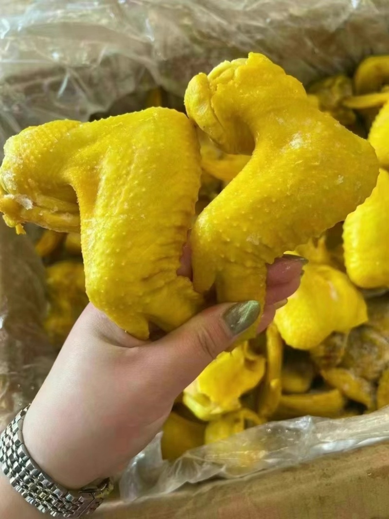 盐焗鸡全翅（肉类品源头工厂一手货源量大从优）