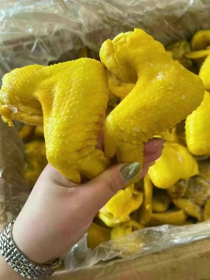 盐焗鸡全翅（肉类品源头工厂一手货源量大从优）