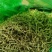 金银花，陕西商洛购销各种规格无硫净货产品，欢迎老板联系