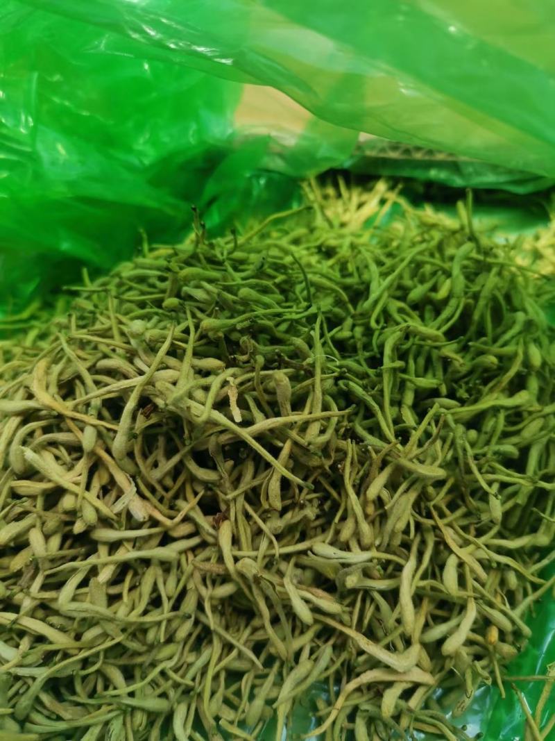 金银花，陕西商洛购销各种规格无硫净货产品，欢迎老板联系