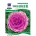 羽衣甘蓝蔬菜种子食用甘蓝蔬菜孑种籽阳台四季盆栽