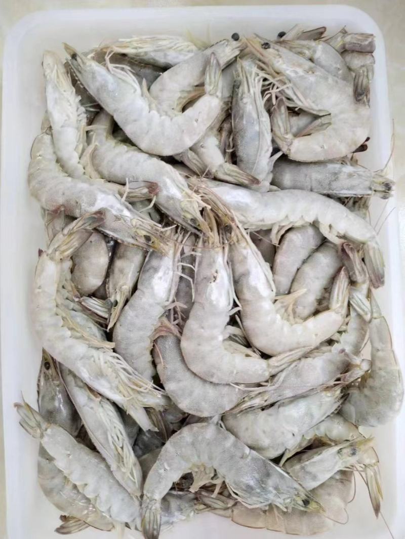 盐田大虾我们公司各种行号都有，各大商场来采购，