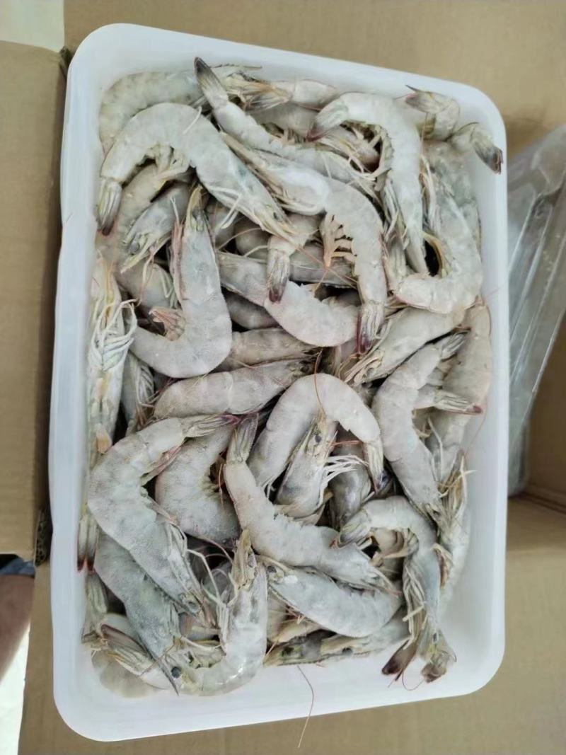 盐田大虾我们公司各种行号都有，各大商场来采购，