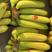 特价香蕉，价格优惠精品超市、赶集、摆摊，售后保障欢迎订购