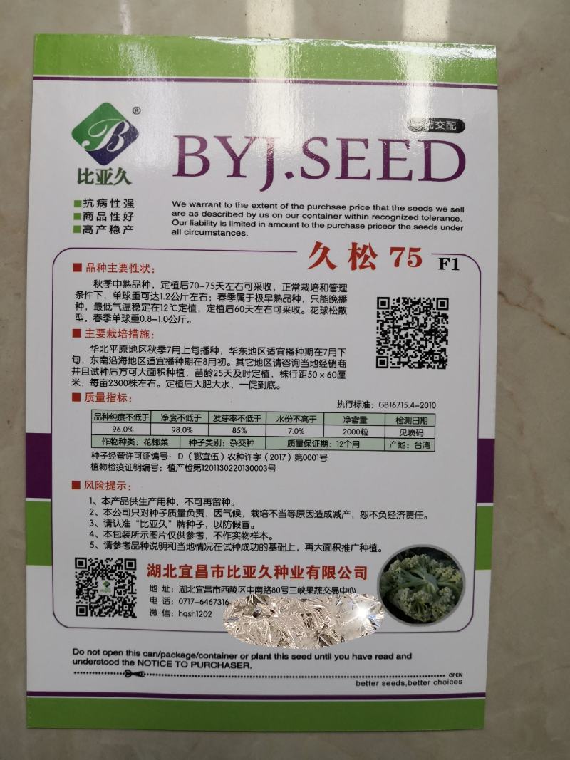 久松75花菜种子春秋两用花球松散抗病性强商品性好