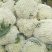 久松75花菜种子春秋两用花球松散抗病性强商品性好