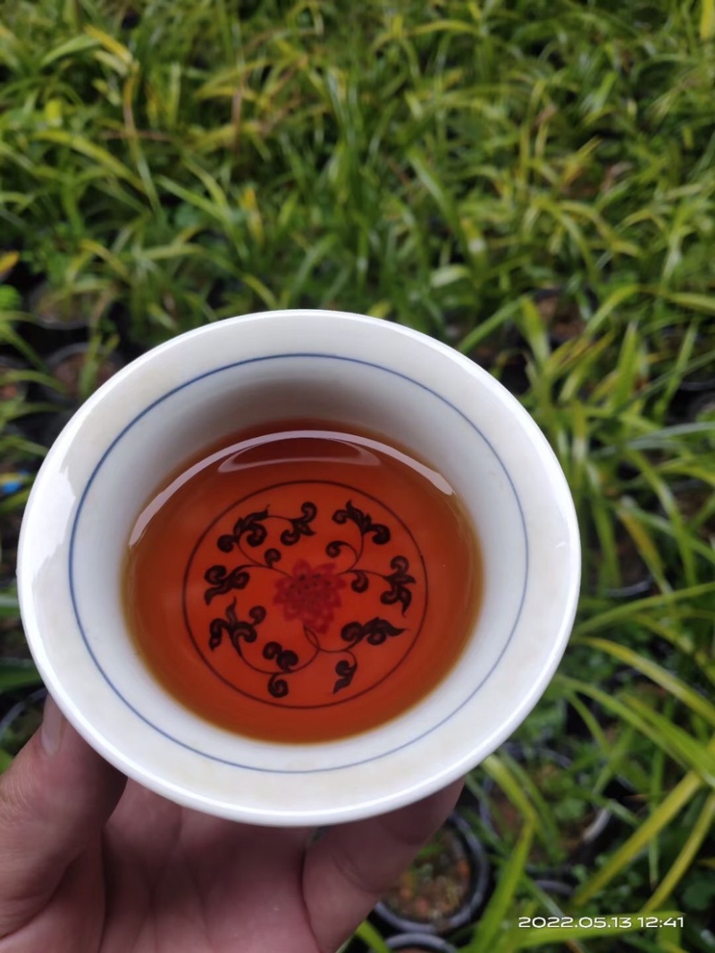 广西金秀大瑶山古树红茶