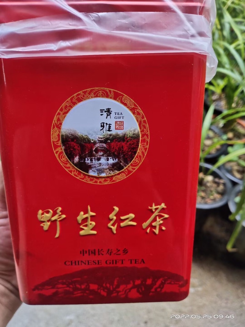 广西金秀大瑶山古树红茶