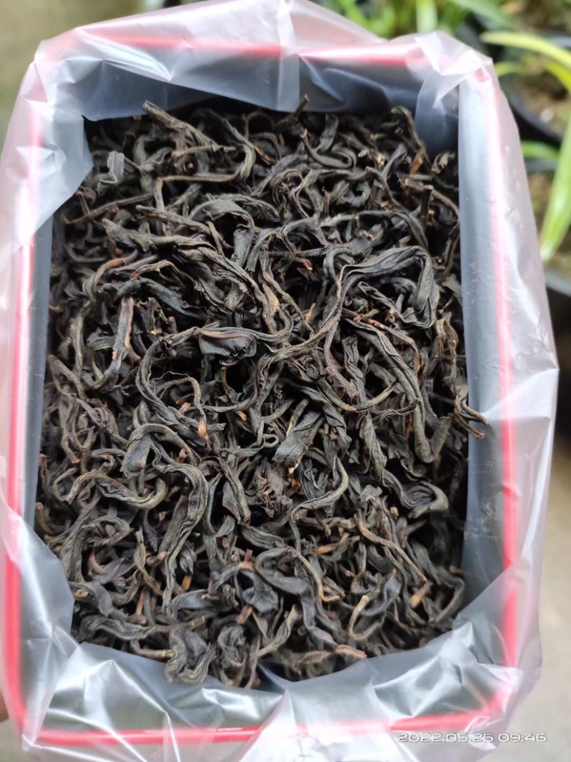 广西金秀大瑶山古树红茶