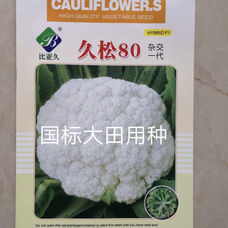 久松80菜花种子春秋两用全松抗逆性强单菜1.8公斤商品性