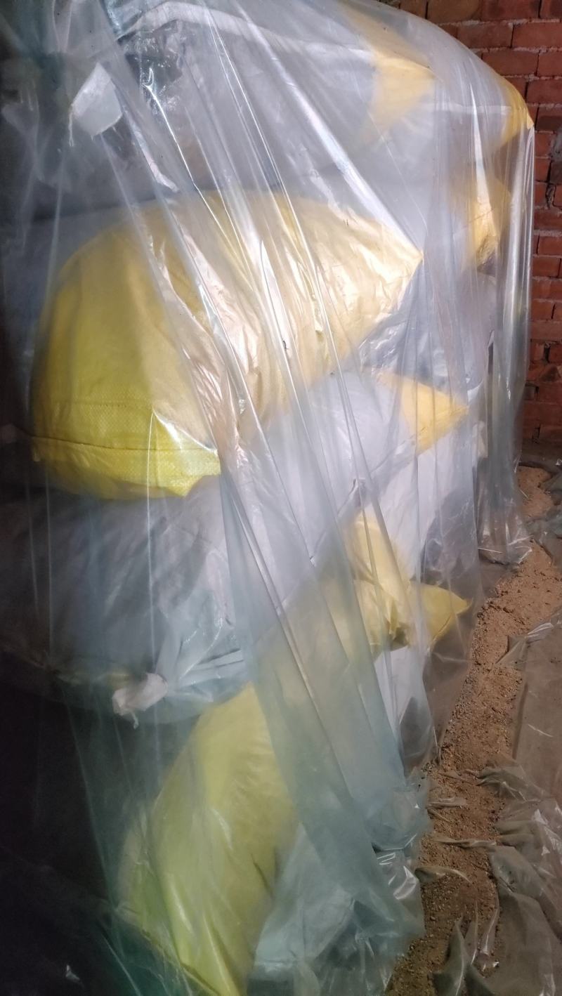 【精品】四川蝉蜕无杂质干度好品质保证量大从优迎联系