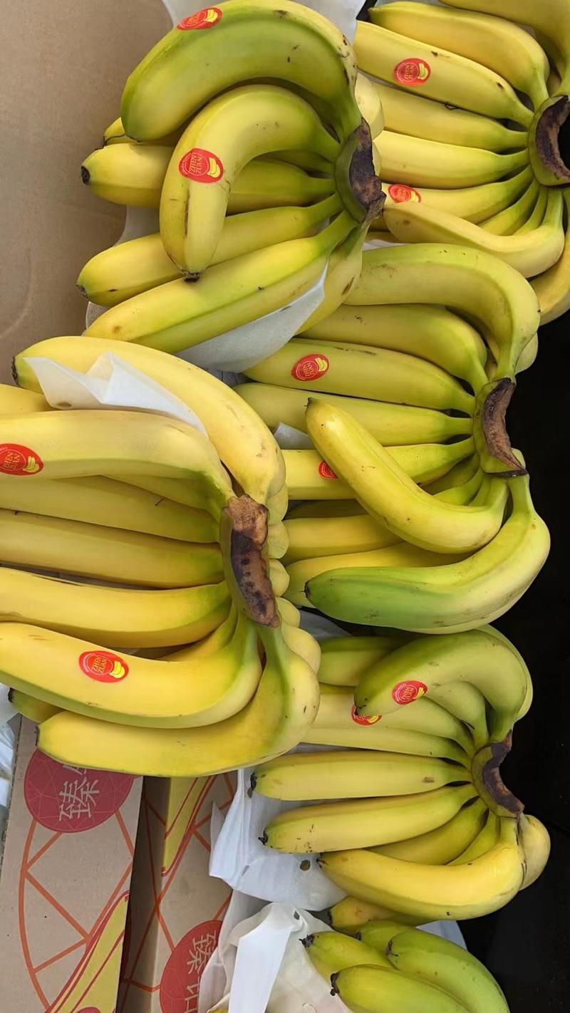 特价香蕉一级香蕉二黄蕉，规格齐全，售后保障，证件齐全，发