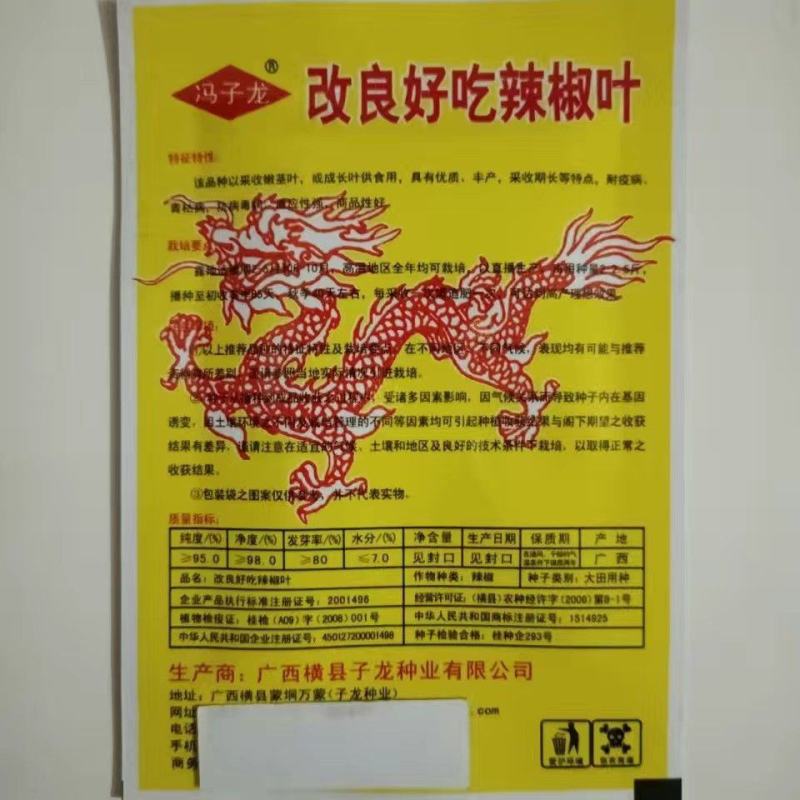 辣椒叶种子专吃叶子的辣椒阳台四季盆栽特色蔬菜高产抗病