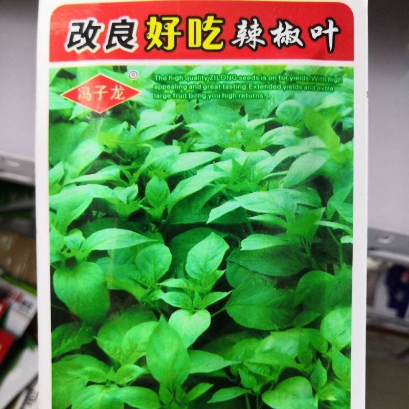 辣椒叶种子专吃叶子的辣椒阳台四季盆栽特色蔬菜高产抗病