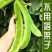 刀豆种子大红刀豆巨型大豆角种籽巴西豆四季蔬菜爬藤菜豆角种