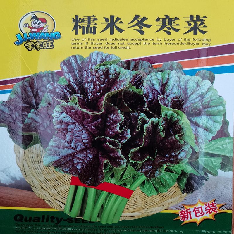 冬苋菜种子冬寒菜种籽马蹄菜高钙菜盆栽野菜秋冬季蔬菜种子