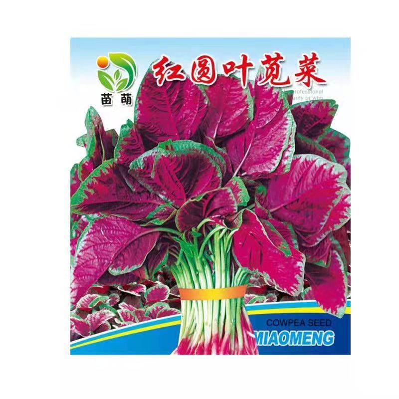 红苋菜种子春夏新鲜青菜种籽野菜四季盆栽阳台蔬菜种子