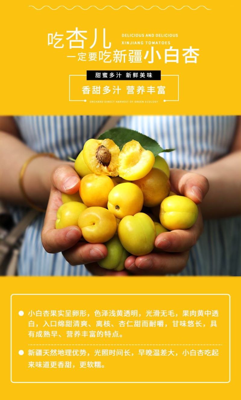 新疆小白杏汁多甜如蜜20糖度以上产地直发