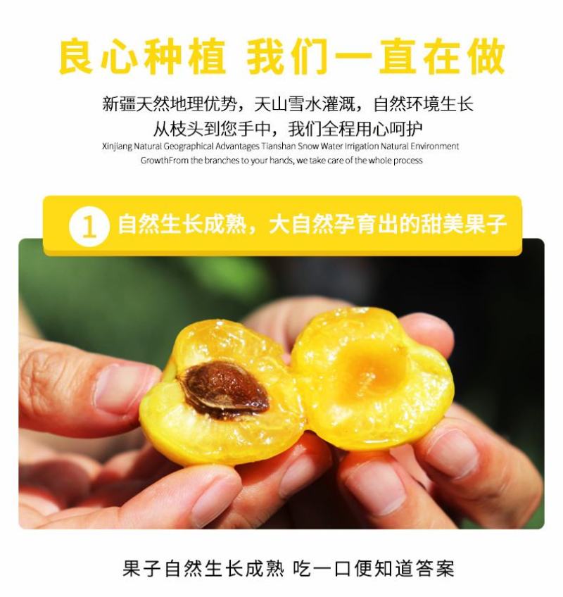 新疆小白杏汁多甜如蜜20糖度以上产地直发