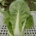 快菜江苏精品快菜量大从优对接全国质量保障