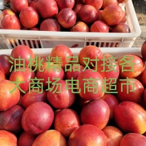 万亩油桃安徽砀山产区，麻点48红皮黄肉，耐送输