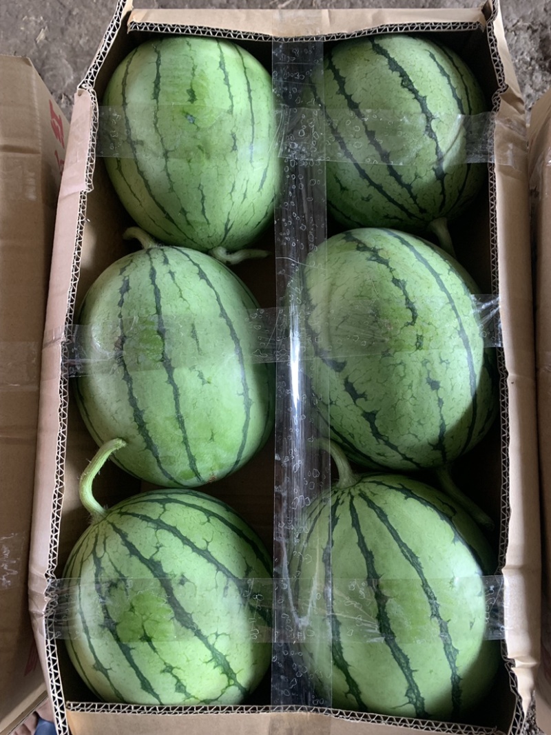 精品红玉，产地直销，果型好，口感脆甜，皮薄糖分高