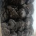 新鲜平菇，基地直发，保质保量，价格优惠，量大从优