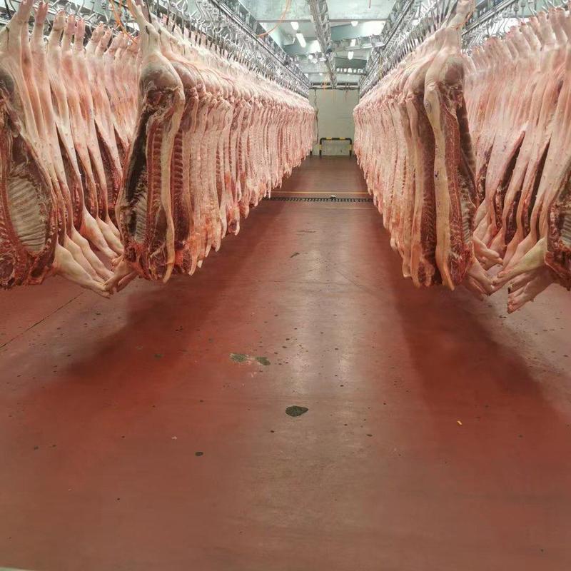 上海白条猪肉批发分割猪肉批发，上海全市物流配送服务。
