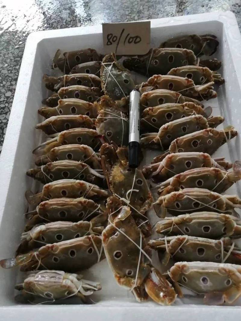 三点蟹，