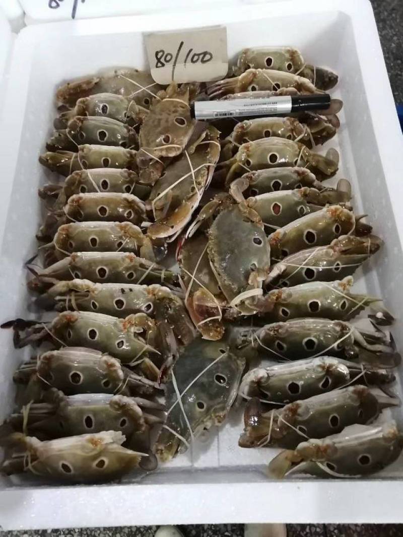 三点蟹，