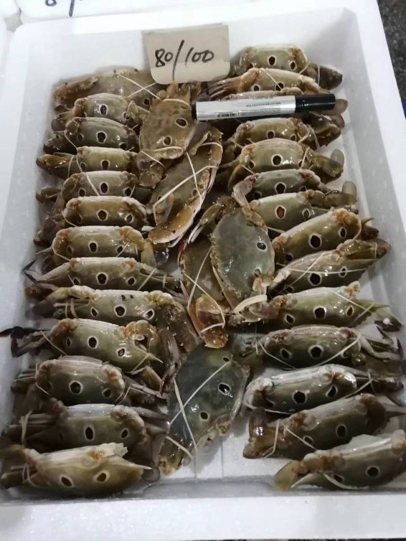 三点蟹，