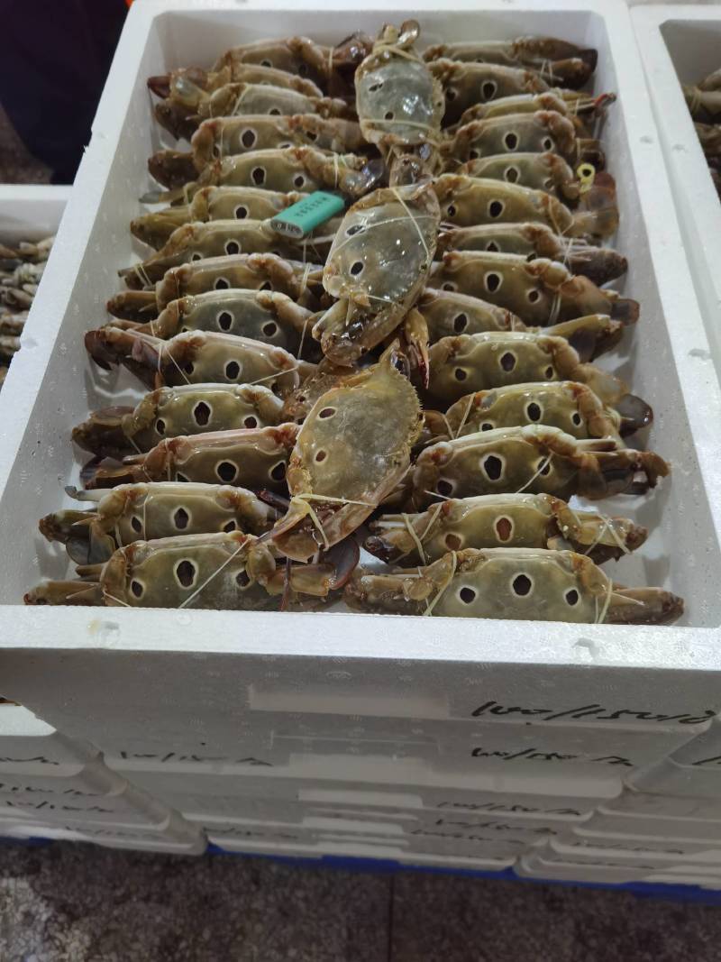 三点蟹，