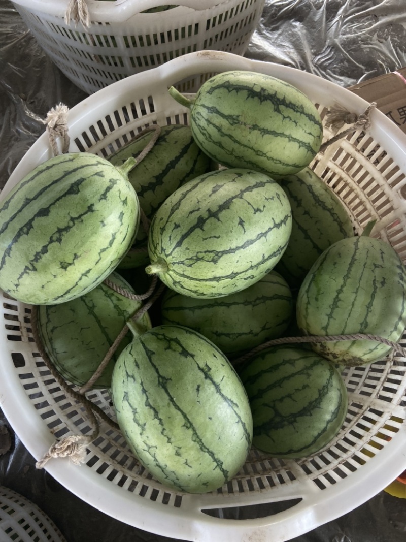 精品红玉，产地直销，果型好，口感脆甜，皮薄糖分高