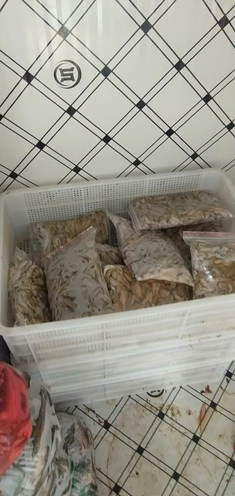 趴地虎，精品淮河趴地虎，鲜活冰鲜冷冻，2斤一包。