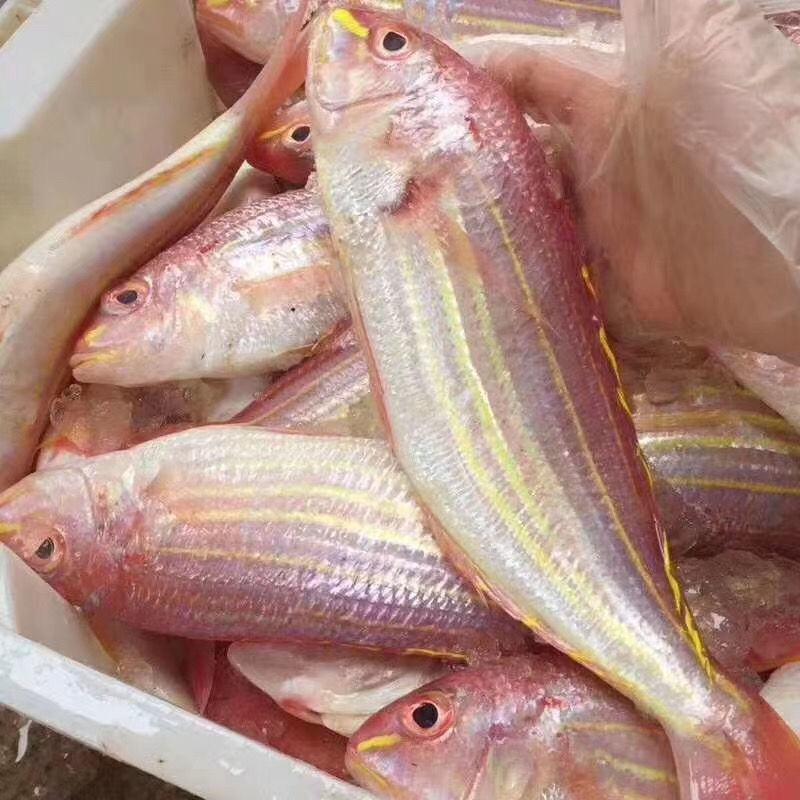 金丝鱼/金丝鱼红杉鱼红三鱼大众消费常吃海鱼