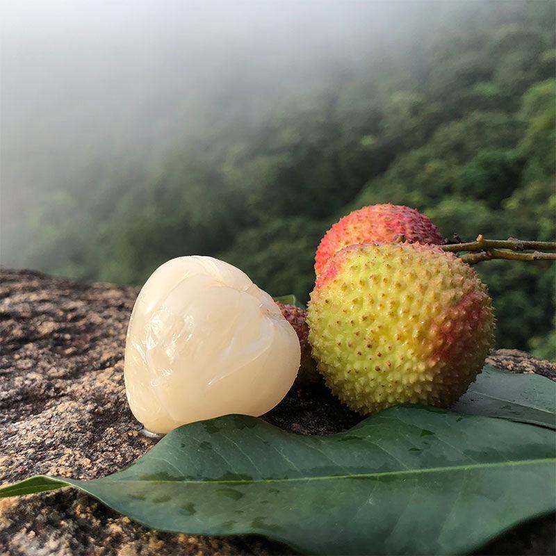 广西贵港荔枝新鲜现摘应季水果批发