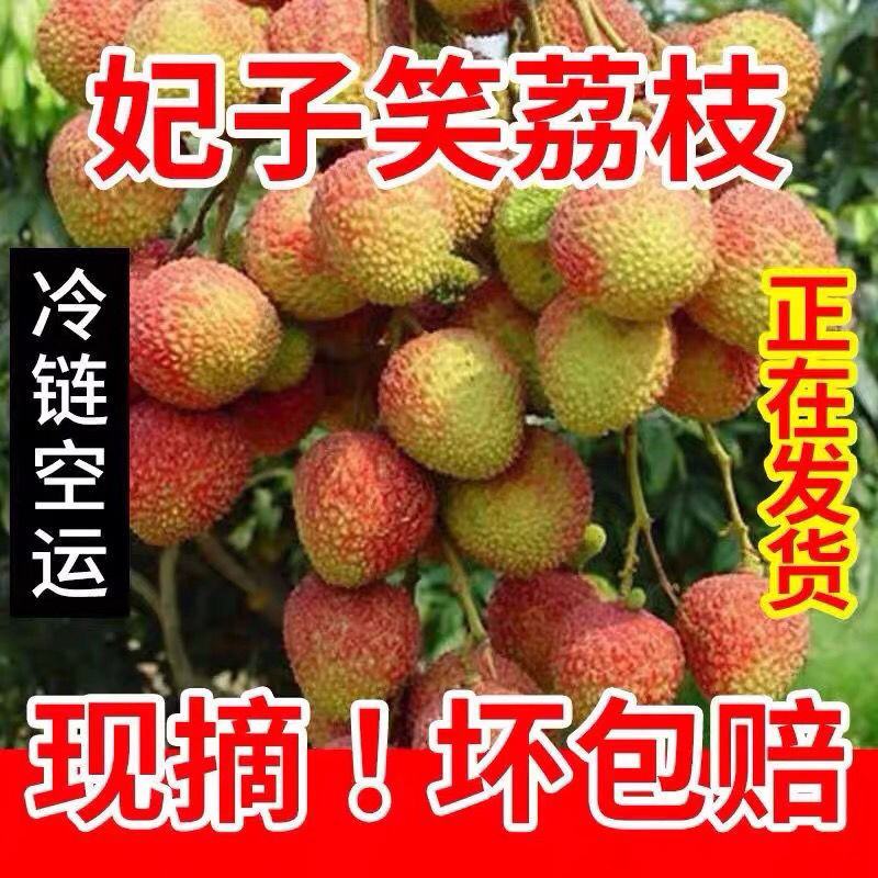 广西贵港荔枝新鲜现摘应季水果批发