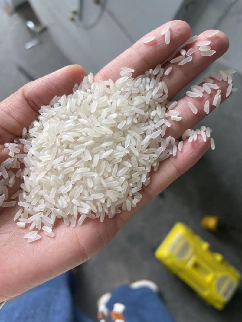精品籼米，湖北大米，一手货源视频看货品质保证