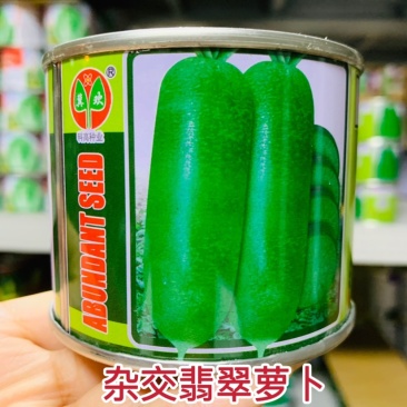 杂交翡翠萝卜种子新研制一代杂交水果萝卜种子皮薄香甜抗病