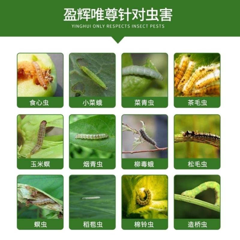 唯尊20亿棉铃虫核型多角体病毒辣椒蔬菜番茄菜青虫棉铃虫等