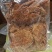 休闲食品牛肉干手撕猪肉片猪肉条五香辣沙爹味