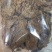 休闲食品牛肉干手撕猪肉片猪肉条五香辣沙爹味