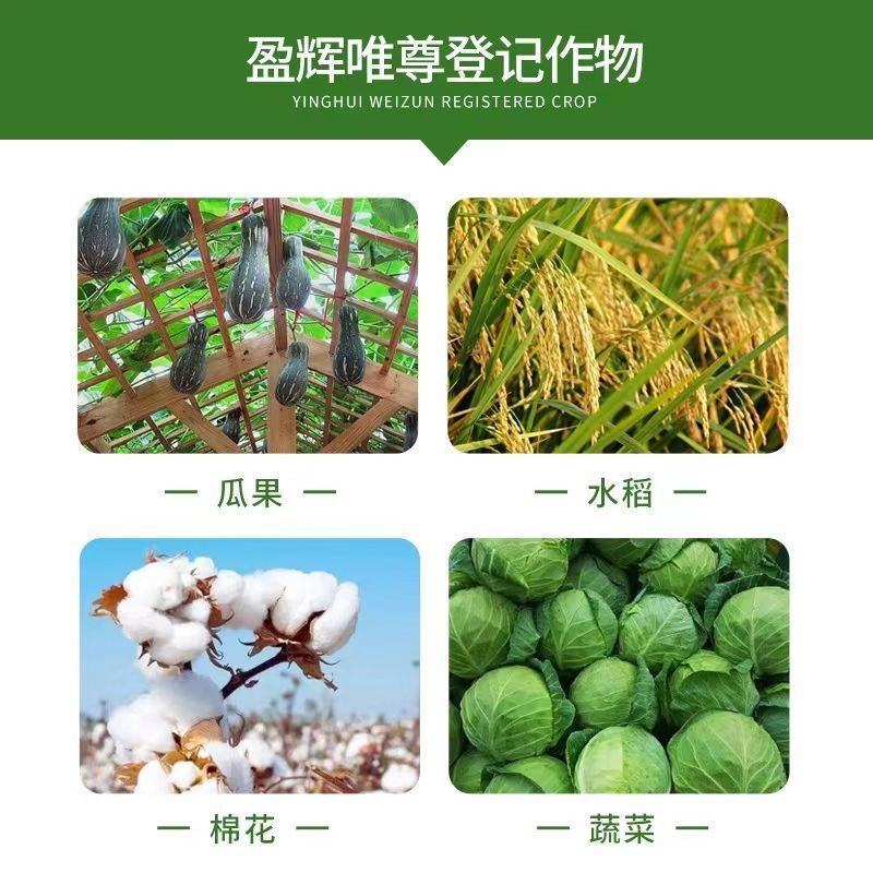 唯尊20亿棉铃虫核型多角体病毒辣椒蔬菜番茄菜青虫棉铃虫等