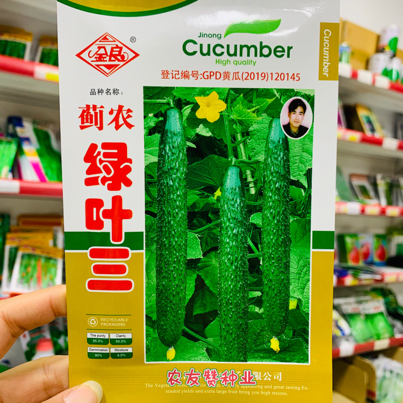 蓟农绿叶三黄瓜种子质脆味甜刺瘤多瓜把短春秋密刺长黄瓜种