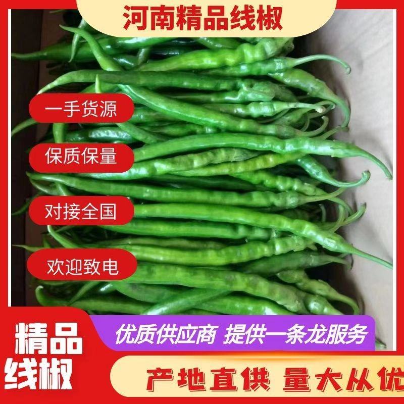 精品线椒，一手货源，产地直供，诚信合作。