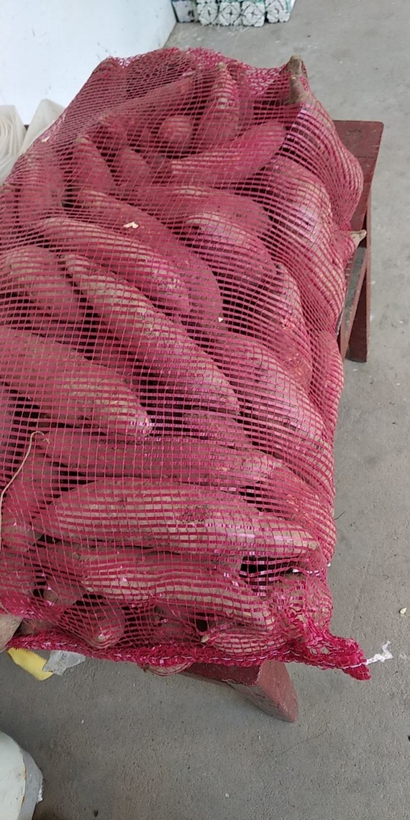 沙宝红蜜薯