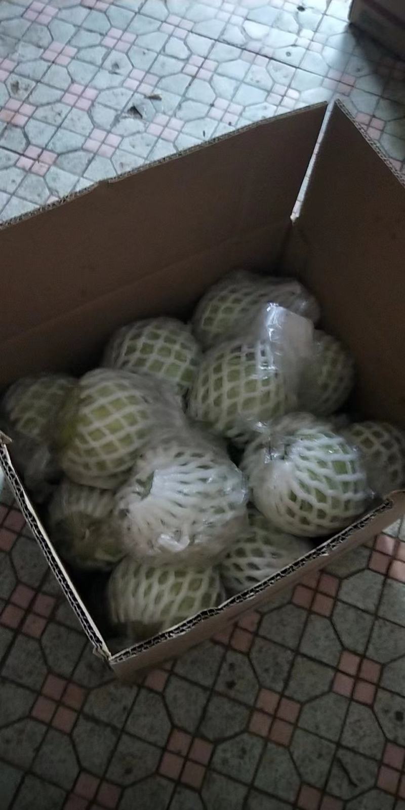 广东廉江番石榴，红心白心大量有货，一天能发2到3万斤货